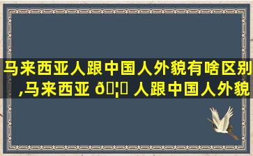 马来西亚人跟中国人外貌有啥区别,马来西亚 🦅 人跟中国人外貌有啥区别呢